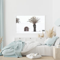 Wall art - European Palm Tree - Canvas Prints - Poster Prints