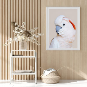 Wall art - Cockatoo III - Canvas Prints - Poster Prints