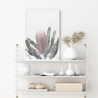 Botaniacal art prints - Banksia - Canvas Prints - Poster Prints