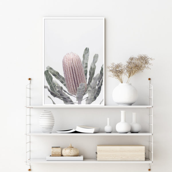 Botaniacal art prints - Banksia - Canvas Prints - Poster Prints