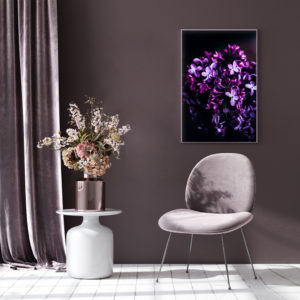 Wall art - Splendid Purple - Canvas Prints - Poster Prints