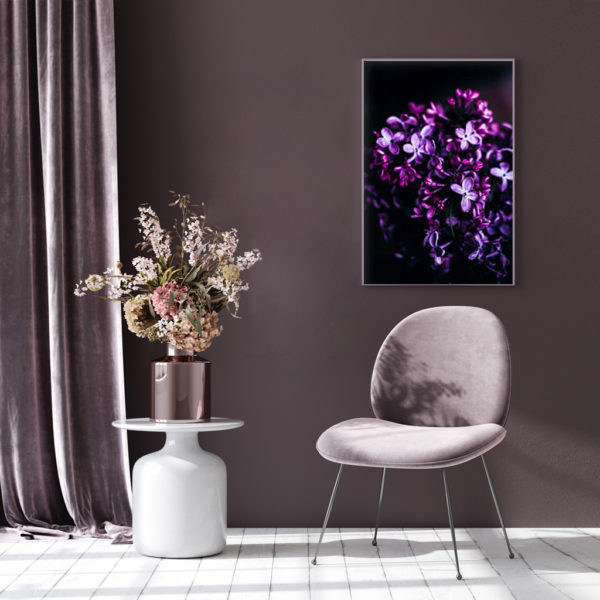 Wall art - Splendid Purple - Canvas Prints - Poster Prints
