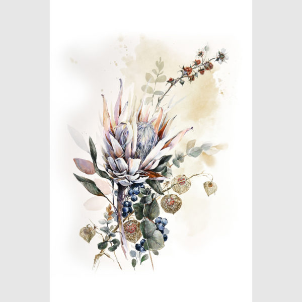 Wall art - Berries And Protea Watercolor Style B- Canvas Prints - Poster Prints - Image 2