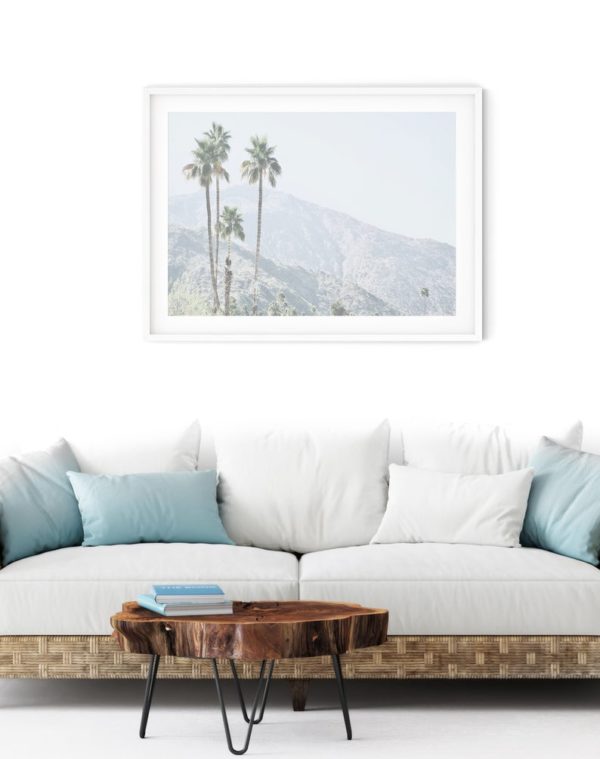 Wall art - California Palm Tree - Canvas Prints - Poster Prints