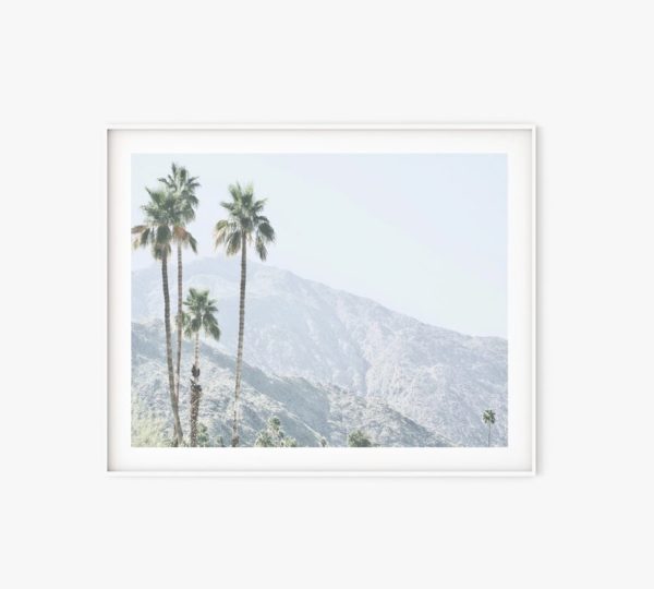 Wall art - California Palm Tree - Canvas Prints - Poster Prints - Image 3