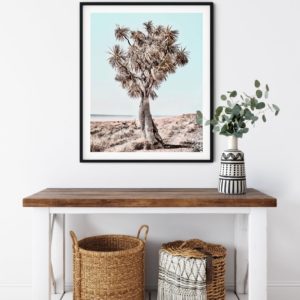 Wall art - Desert Joshua Tree - Canvas Prints - Poster Prints