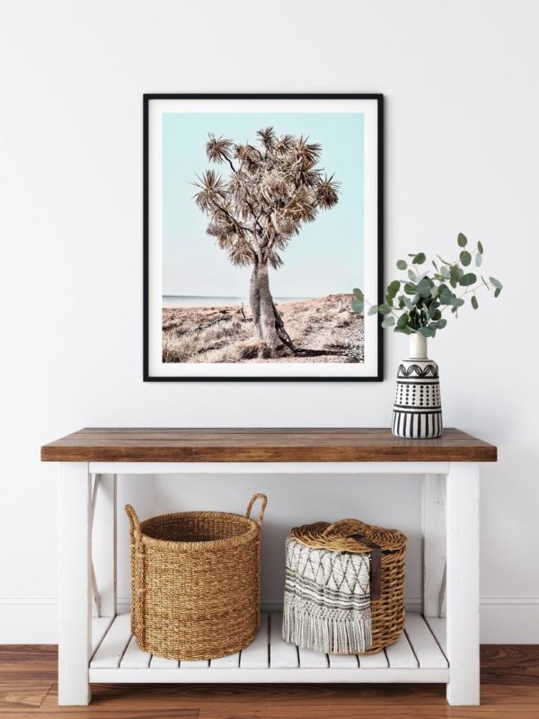 Wall art - Desert Joshua Tree - Canvas Prints - Poster Prints