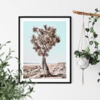 Wall art - Desert Joshua Tree - Canvas Prints - Poster Prints - Image 2
