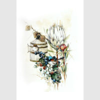 Wall art - Berries And Protea 2 sets- Canvas Prints- Poster Prints - Image 5