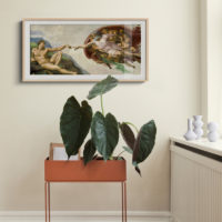 Wall Art – Creation of Adam by Michelangelo - Canvas Prints - Poster Prints
