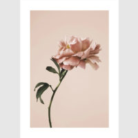Wall Art - Blooming Pink 3 sets - Poster Prints -Canvas Prints - Image 3