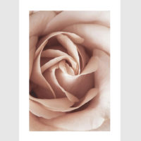 Wall Art - Blooming Pink 3 sets - Poster Prints -Canvas Prints - Image 4