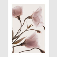 Wall Art - Garden Roses 3 sets - Poster Prints -Canvas Prints - Image 3