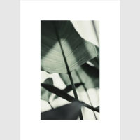 Wall Art - Golden Monstera Leaves 3 sets - Poster Prints -Canvas Prints - Image 4