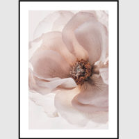 Wall Art - Garden Roses 3 sets - Poster Prints -Canvas Prints - Image 5