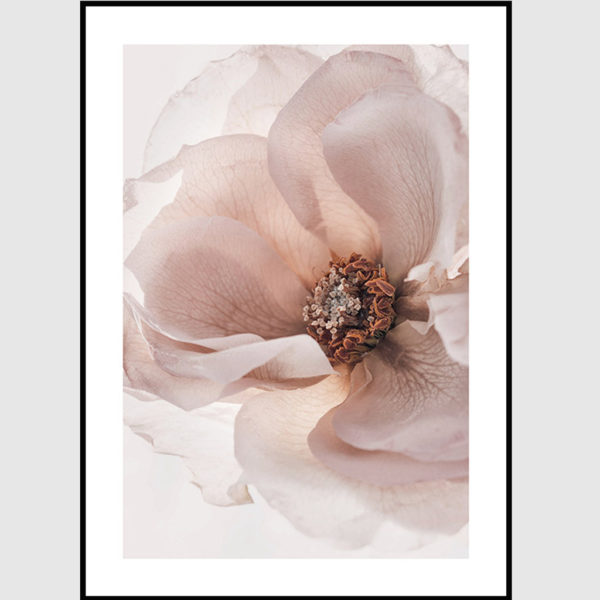 Wall Art - Garden Roses 3 sets - Poster Prints -Canvas Prints - Image 5