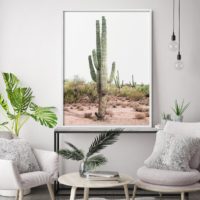 Wall art - Cacti - Canvas Prints - Poster Prints - Image 2