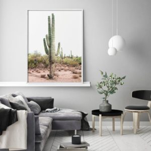 Wall art - Cacti - Canvas Prints - Poster Prints