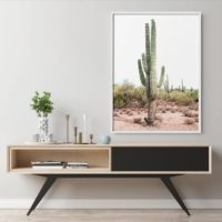 Wall art - Cacti - Canvas Prints - Poster Prints - Image 3