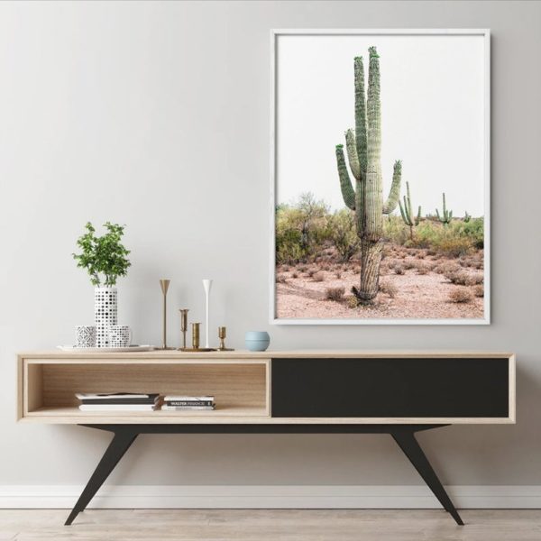 Wall art - Cacti - Canvas Prints - Poster Prints - Image 3