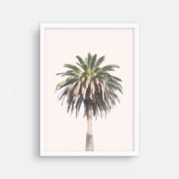 Wall art - California Palm Tree - Canvas Prints - Poster Prints - Image 5