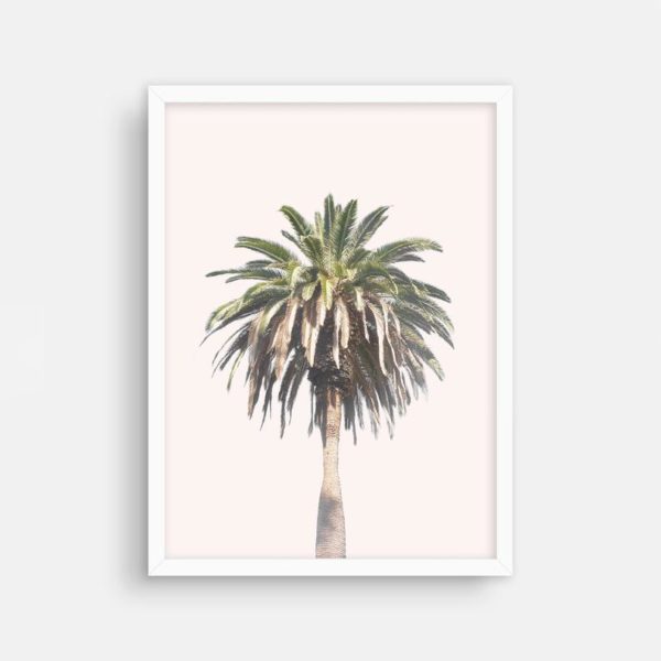 Wall art - California Palm Tree - Canvas Prints - Poster Prints - Image 5