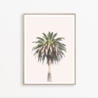Wall art - California Palm Tree - Canvas Prints - Poster Prints - Image 6