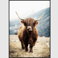 Wall art - Highland Cow - Canvas prints- Poster prints - Image 5