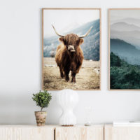 Wall art - Highland Cow - Canvas prints- Poster prints
