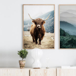 Wall art - Highland Cow - Canvas prints- Poster prints