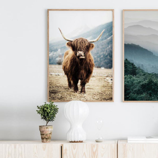 Wall art - Highland Cow - Canvas prints- Poster prints