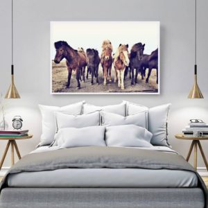 Wall art - Icelandic Horses - Canvas Prints - Poster Prints