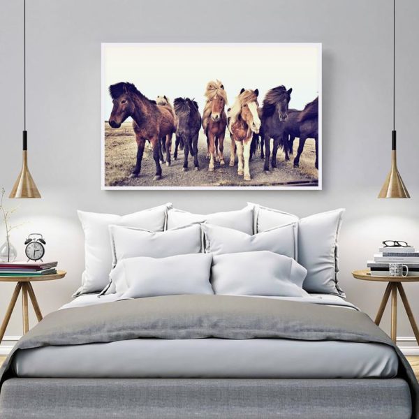 Wall art - Icelandic Horses - Canvas Prints - Poster Prints