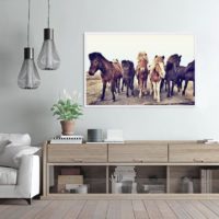 Wall art - Icelandic Horses - Canvas Prints - Poster Prints - Image 2