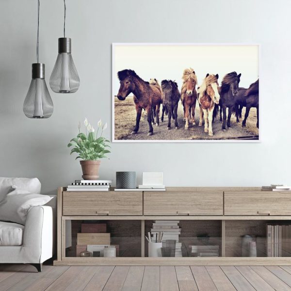 Wall art - Icelandic Horses - Canvas Prints - Poster Prints - Image 2