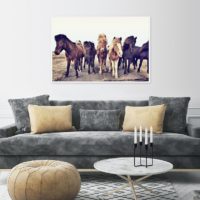 Wall art - Icelandic Horses - Canvas Prints - Poster Prints - Image 3