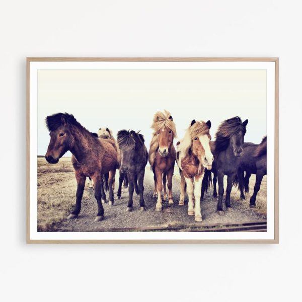 Wall art - Icelandic Horses - Canvas Prints - Poster Prints - Image 6