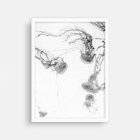 Wall art - Jellyfish - Canvas Prints - Poster Prints - Image 5