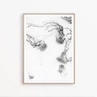 Wall art - Jellyfish - Canvas Prints - Poster Prints - Image 4