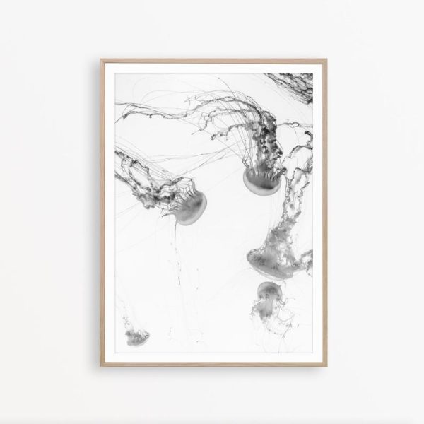 Wall art - Jellyfish - Canvas Prints - Poster Prints - Image 4