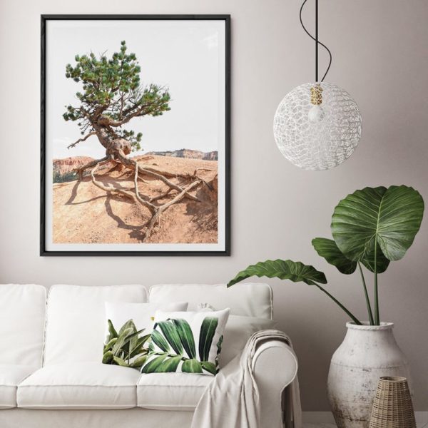 Wall art - Joshua Tree - Canvas Prints - Poster Prints