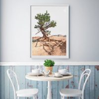 Wall art - Joshua Tree - Canvas Prints - Poster Prints - Image 3
