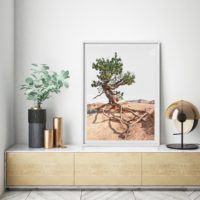 Wall art - Joshua Tree - Canvas Prints - Poster Prints - Image 2