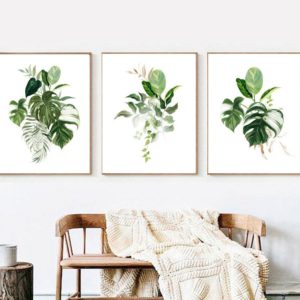 Wall Art - Monstera Leaves 3 sets - Poster Prints -Canvas Prints