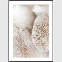 Wall art - Mushroom Dream 2 sets - Canvas Prints- Poster Prints - Image 4