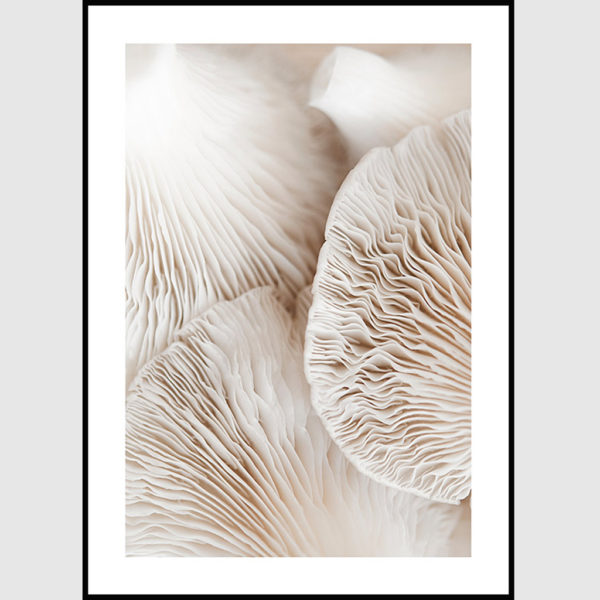 Wall art - Mushroom Dream 2 sets - Canvas Prints- Poster Prints - Image 4