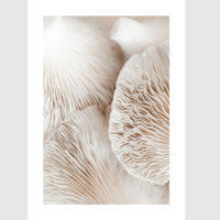 Wall art - Mushroom Dream 2 sets - Canvas Prints- Poster Prints - Image 3