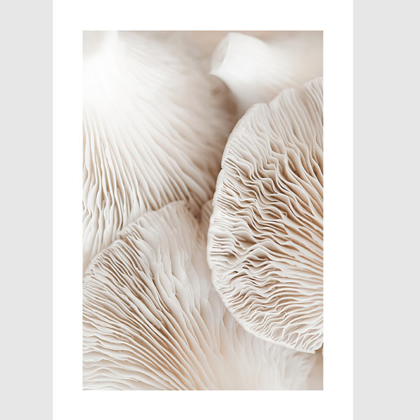 Wall art - Mushroom Dream 2 sets - Canvas Prints- Poster Prints - Image 3