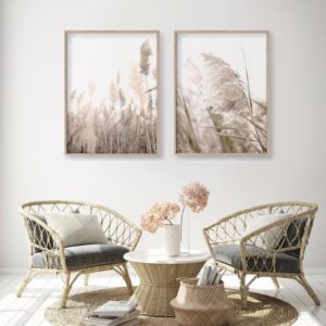 Wall art - Pampas Grass 2 sets- Canvas Prints- Poster Prints