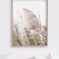 Wall art - Pampas Grass 2 sets- Canvas Prints- Poster Prints - Image 4